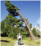 ���R�̋���(^_^;)