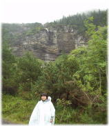 $B$d$d$*Hh$l5$L#$N$H$b(B(^_^;)