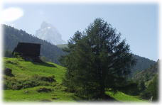 Furi$B$N%O%$%-%s%0%3!<%9(B